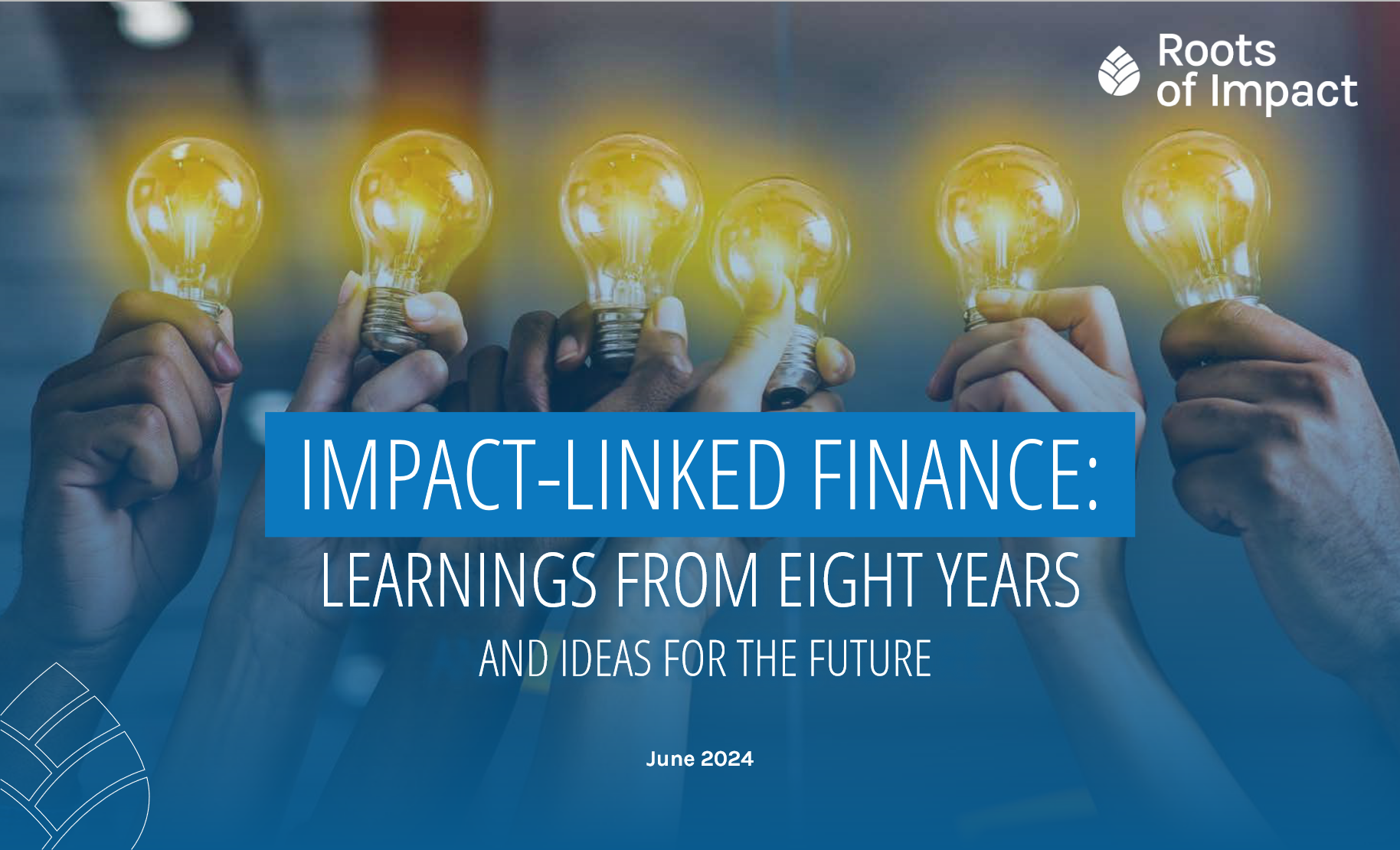 Roots of Impact ILF Learnings Report June 2014 COVER