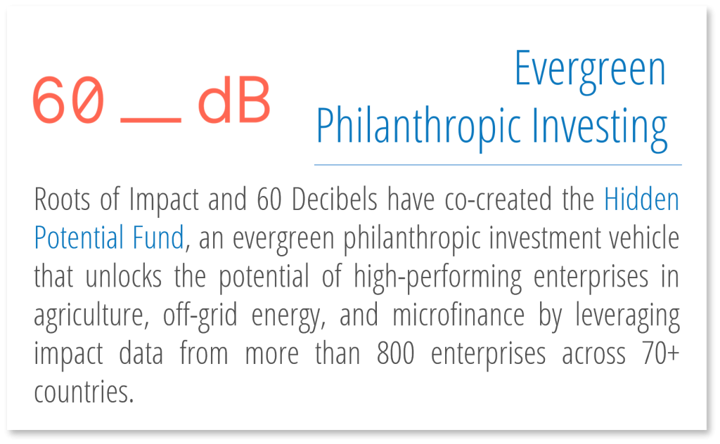 Hidden Potential Fund Example Website